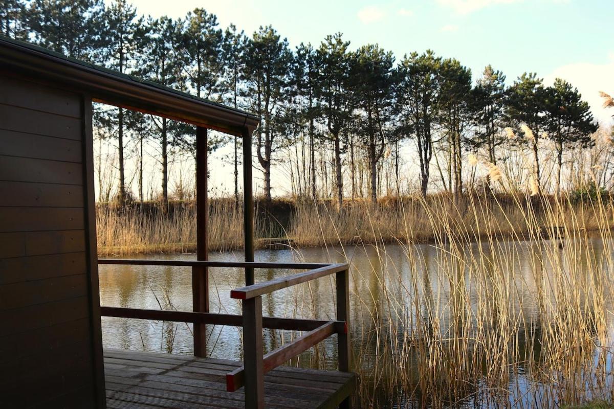 Villa The Waterfront & Birds Nest Evergem Exterior foto